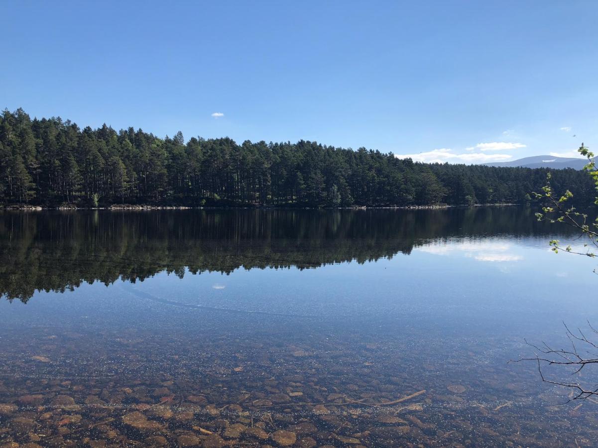 81 The Heathers, Aviemore Holiday Park , Dalfaber Rd Aviemore Ph22 1Px ภายนอก รูปภาพ